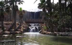 Thumbnail for Visit the El Palmeral Park in Alicante