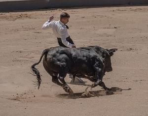 Bullfighting Museum (Museo Taurino)