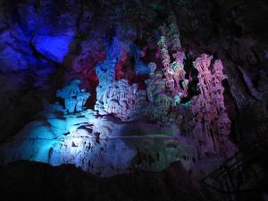 Canelobre Caves (Coves del Canelobre)