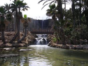 Parque El Palmeral