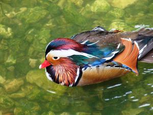 Terra Natura Park