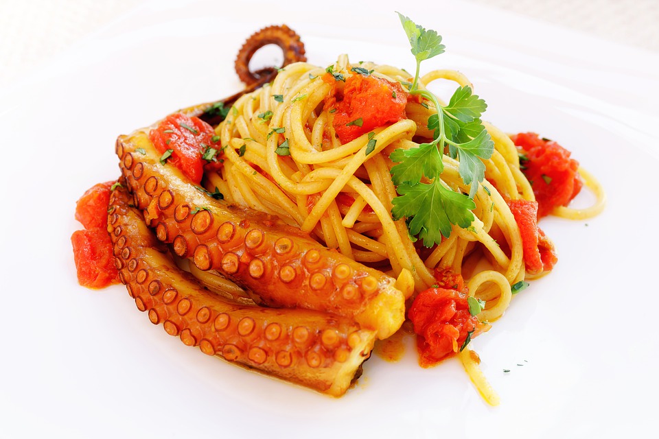 Octopus pasta