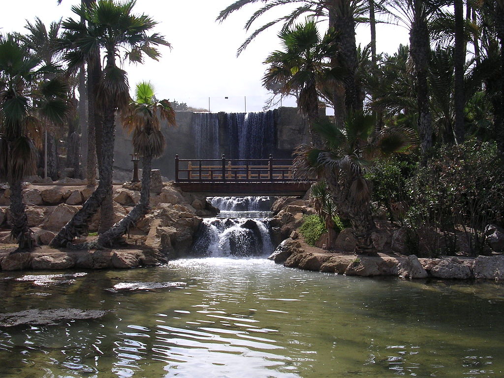 El Palmeral Park