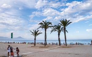 Thumbnail for Take a Pilgrimage to Santa Faz in Alicante