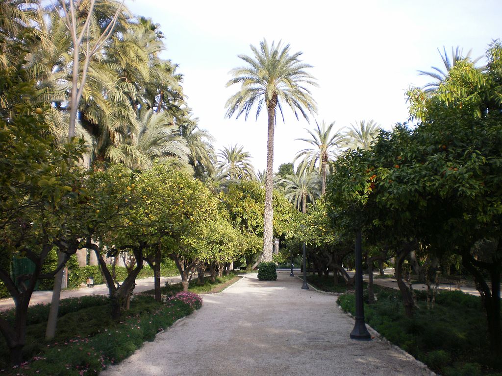 Palmeral de Elche, Alicante