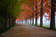 Thumbnail for The Ultimate Things to Do in Alicante in Fall
